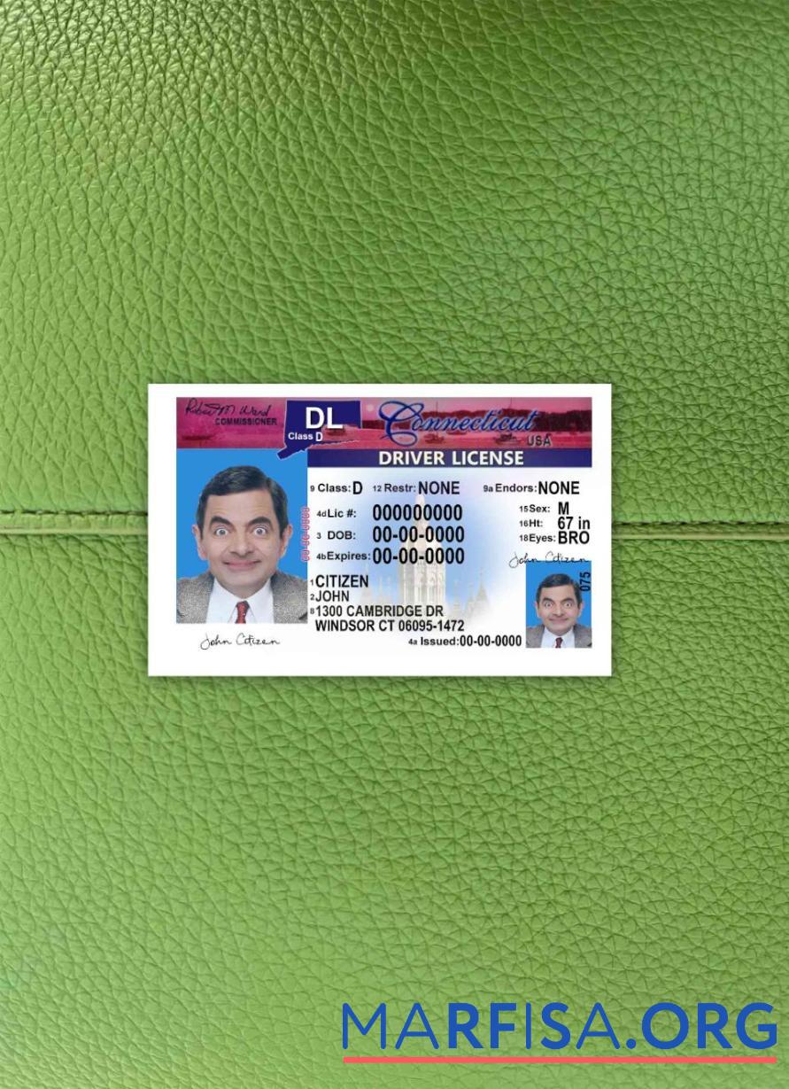 Blank USA Connecticut driving license version 2 photolook sample